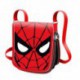 Sacoche - Amazing - Spider-Man