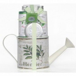 Arrosoir de Bain HERBAL - 4 Pièces - Bergamotte et Basilic
