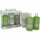Coffret de Bain - Body Luxurious - Thé Vert - 3 Pcs