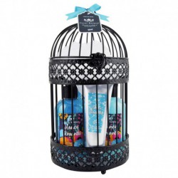Gloss! Cage de Bain Métallique Floral Bouquet - Amande au Miel - 5pcs