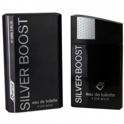 Eau de Toilette homme 100ml Silver Boost